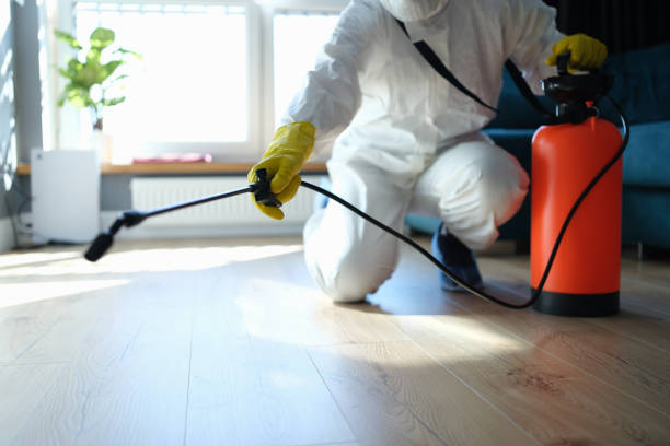 Reliable Sewage Cleanup contractor in New Haven, IN by Trauma Clean Pros